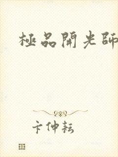 极品开光师封面