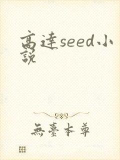 高达seed小说