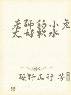 老师的小兔子好大好软水
