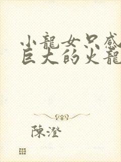 小龙女只感觉那巨大的火龙枪