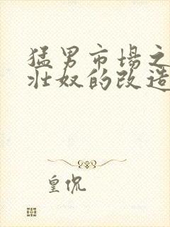 猛男市场之肌肉壮奴的改造封面