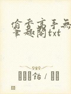 偷香高手无删减笔趣阁txt封面