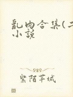 乱肉合集(二)小说