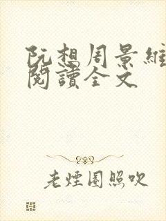 阮想周景维免费阅读全文封面