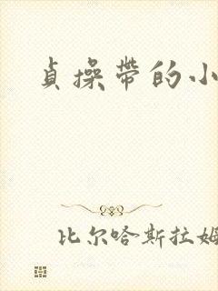 贞操带的小说