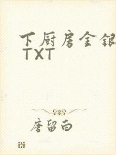 下厨房金银花露 TXT封面