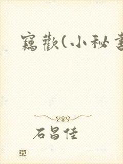 窃欢(小秘书)封面