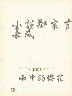 小说邻家有女初长成封面