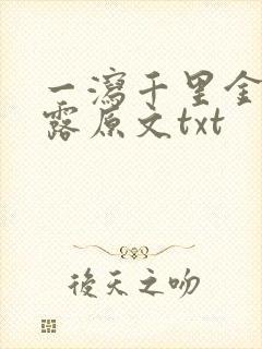 一泻千里金银花露原文txt