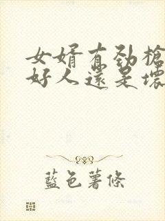 女婿有劲枪枪是好人还是坏人