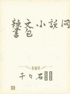 辣文小说网第二书包