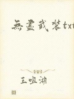 无尽武装txt封面