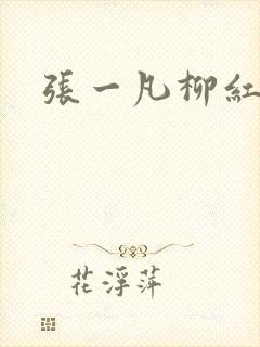 张一凡柳红