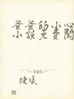 爸爸的小心肝儿小说免费阅读封面