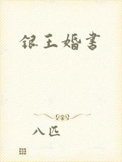 银王婚书封面