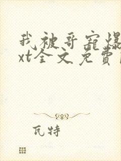 我被哥宠爆了txt全文免费阅读笔趣阁封面