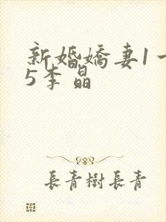 新婚娇妻1一25李晶