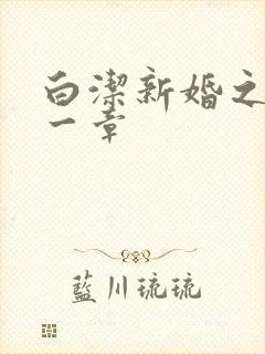 白洁新婚之夜第一章