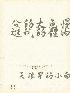 公的大龟慢慢挺进我的体内视频