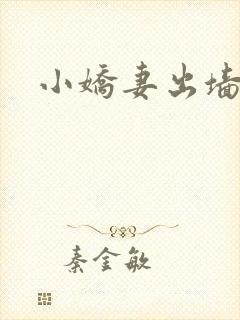 小娇妻出墙记封面