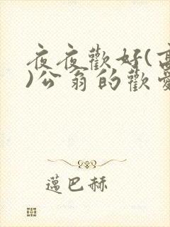夜夜欢好(高h)公翁的欢爱