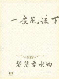 一夜风流下载