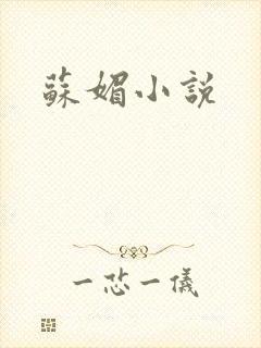苏媚小说