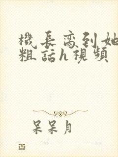 机长脔到她哭h粗话h视频