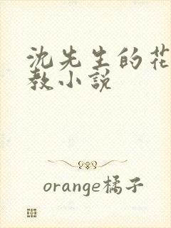 沈先生的花式管教小说