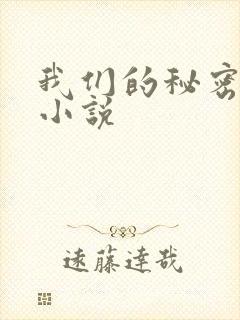我们的秘密泰剧小说