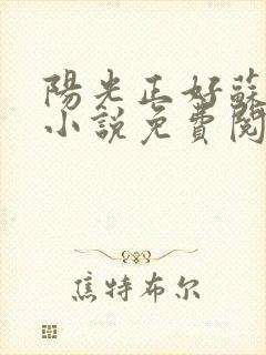 阳光正好苏玥玥小说免费阅读无弹窗