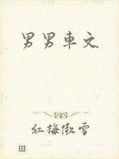 男男车文封面