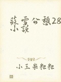 苏雪公憩28篇小说
