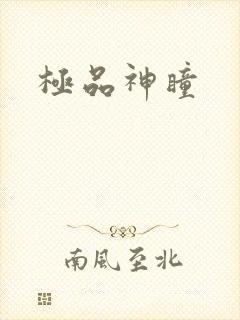 极品神瞳