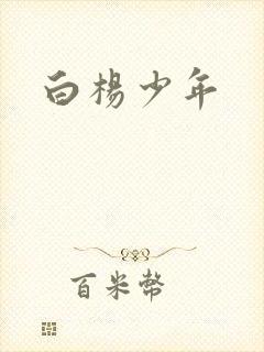 白杨少年封面