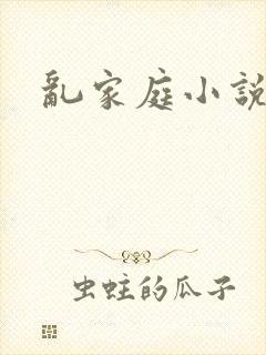 乱家庭小说