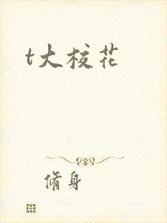 t大校花封面