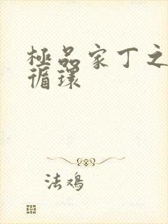 极品家丁之因果循环