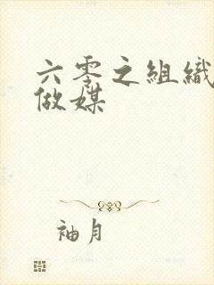 六零之组织给我做媒