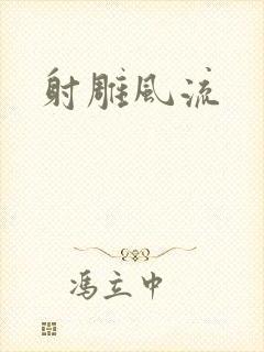 射雕风流