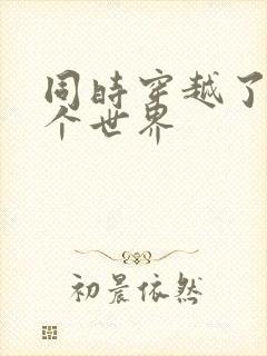 同时穿越了99个世界封面