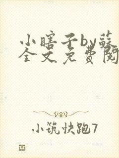 小瞎子by苏软全文免费阅读封面