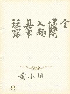 玩具入侵金银花露笔趣阁