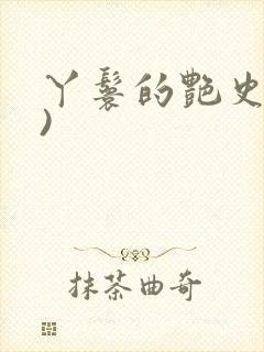 丫鬟的艳史(H)封面