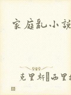 家庭乱小说
