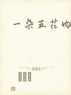 一朵五花肉封面