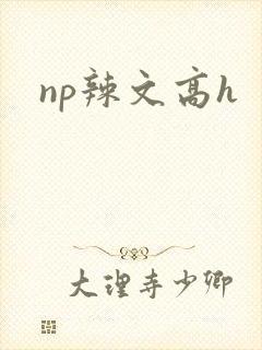 np辣文高h