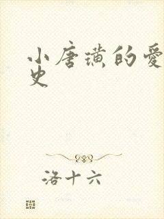 小唐璜的爱情历史封面