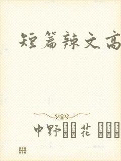 短篇辣文高h