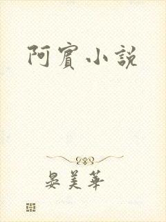 阿宾小说封面